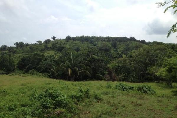Unique land in front of gatun lake for development