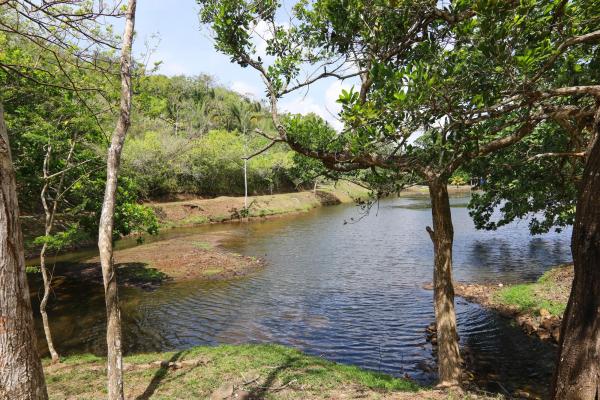 Brisas de los lagos in chorrera for sale and rent