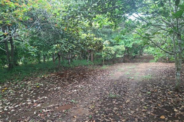 Excelente terreno con mejoras vía el valle