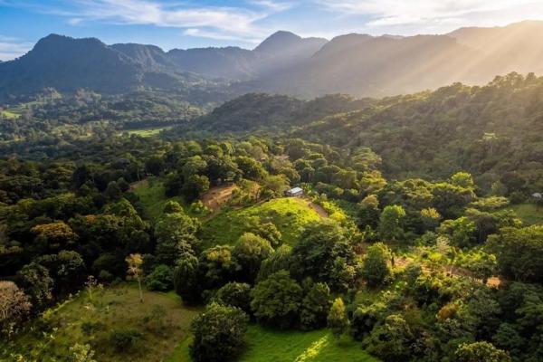 Finca de café en venta en el cascajal, la pintada
