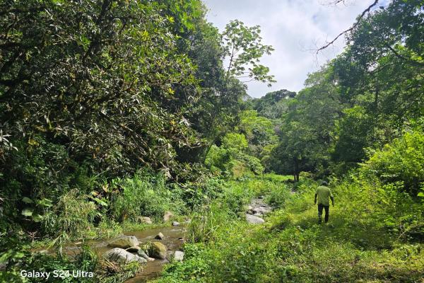 Terreno de 6,9 ha junto a boquete country club — venta de globo entero