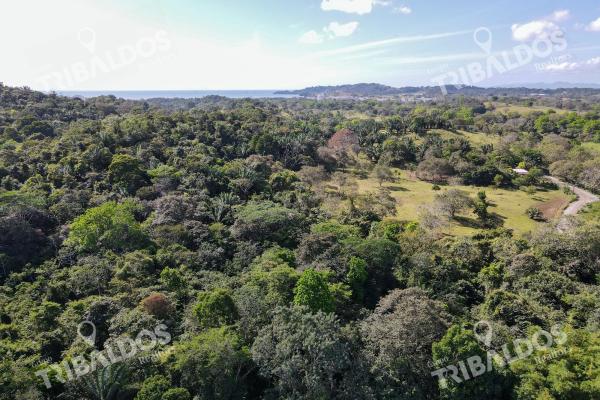 Venta de terreno ubicado en bique, arraijan