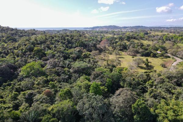 Land for sale located in bique, arraijan