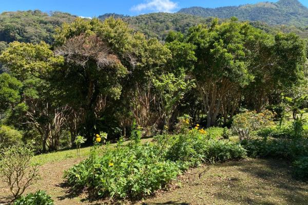 Luxury estate lot jaramillo with barú views