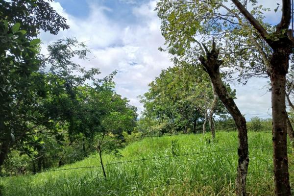 Land for sale, facing the street