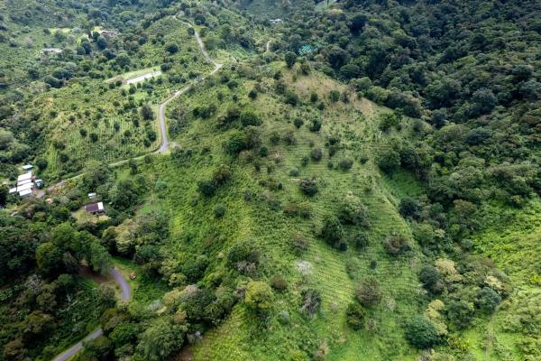 12 plus - ha producing coffee farm in boquete