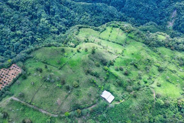 55.74 hectares of paradise in the mountains