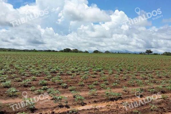 Venta de finca agrícola en ocú