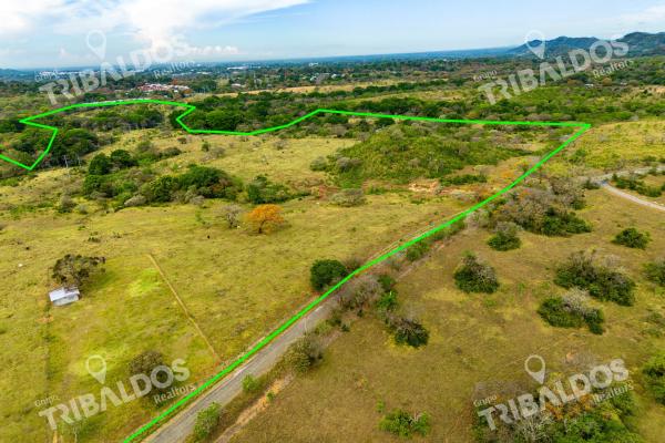 Land for sale in david, chiriquí