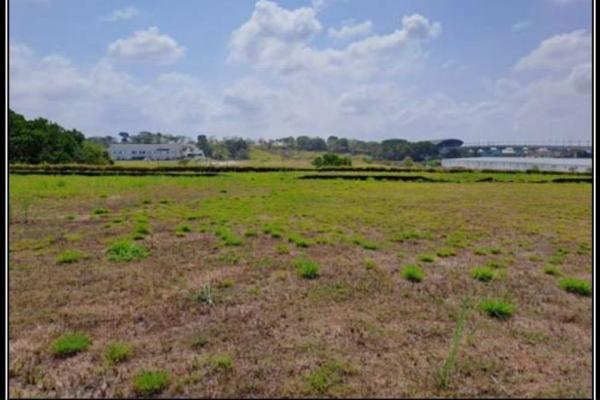 Terreno zona franca del istmo (plp parque logístico panamá)