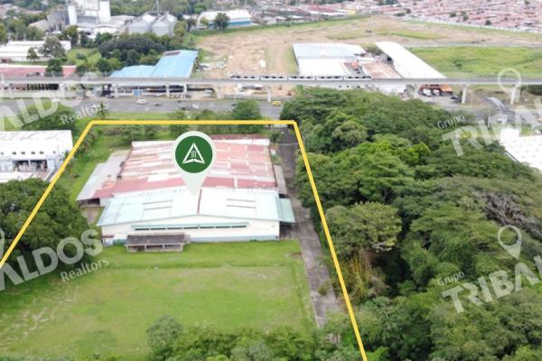 Sale of land with warehouse on the tocumen road