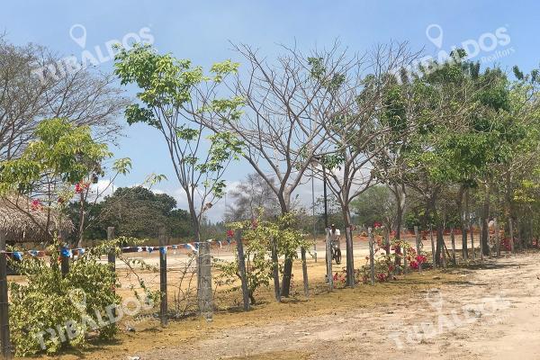 Venta de terreno frente a la panamericana, santa clara