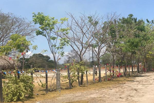 Venta de terreno frente a la panamericana, santa clara