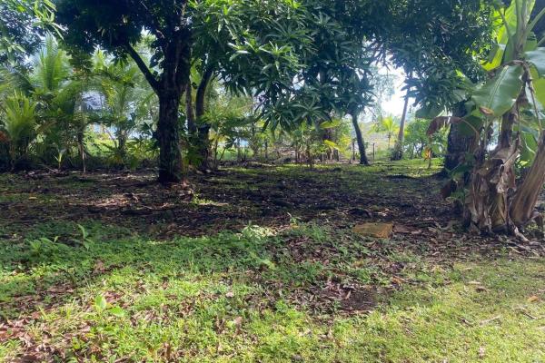 Caribbean oceanfront land in panama