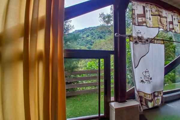 Cabaña con vistas al volcán barú en venta en jaramillo