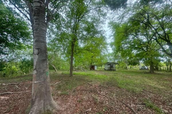 Venta de terreno de 9.9 hectáreas cerca de playas en el higo, san carlos
