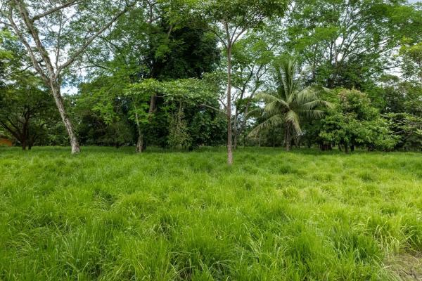 Se vende 2.02 hectareas planas en las lajas chiriqui