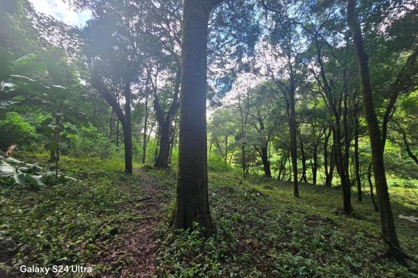 Terreno de 6,9 ha junto a boquete country club — venta de globo entero
