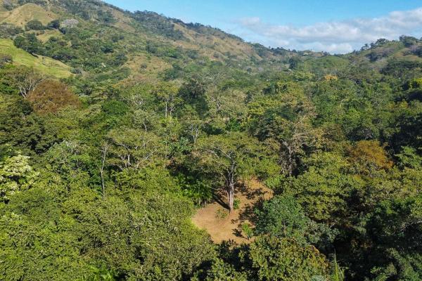 Cambutal lush property for sale near town