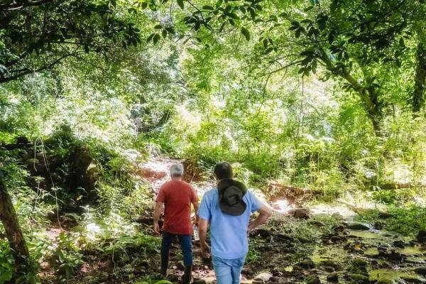 Expansive land for sale in las lomas, david