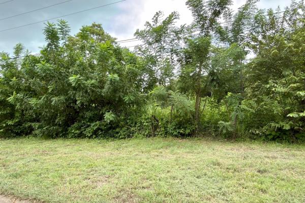 Land for sale in gorgona