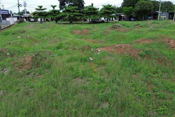 Commercial lot for sale in david