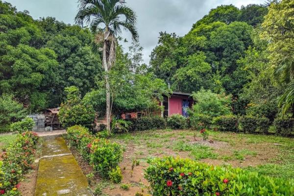 Roadside property with 2,906 m² in dolega