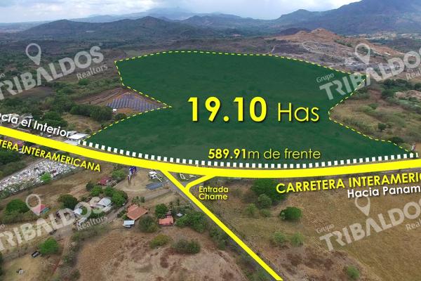 Terreno en bejuco