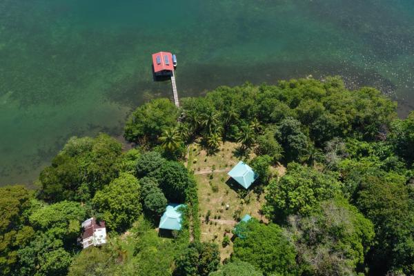 Retiro de finca de cacao de 14 hectáreas en tierra oscura