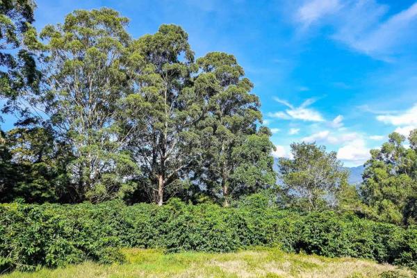 Premium home building lot in las terrazas –boquete