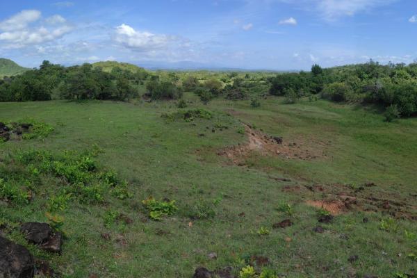 Investor opportunity: high-growth area in veraguas