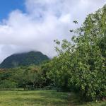 Exceptional mountain lot in el valle de antón!