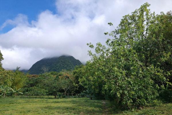 Exceptional mountain lot in el valle de antón!