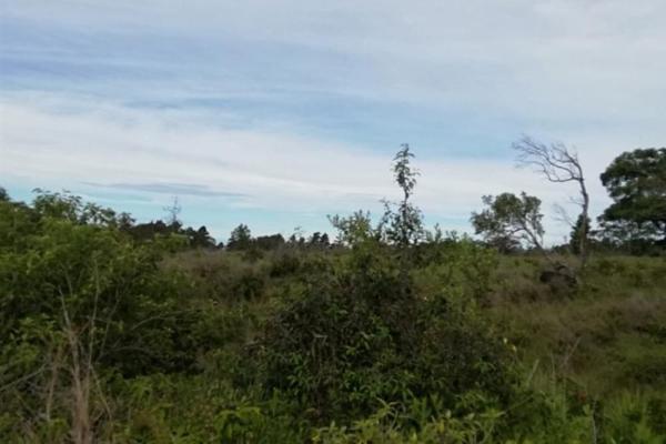 Amplios 5 hectáreas en venta en alto boquete
