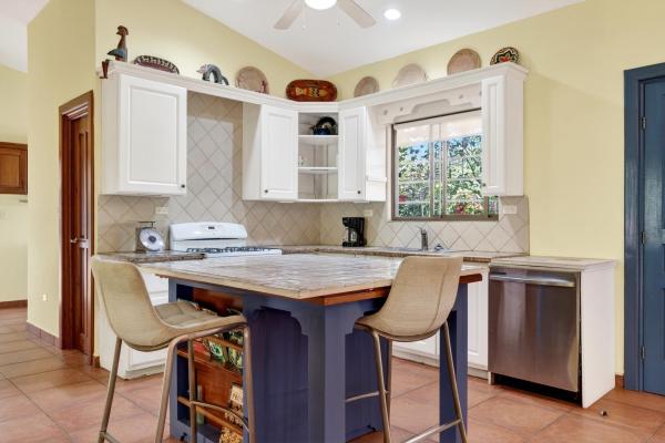 Tropical garden home potrerillos mountain views