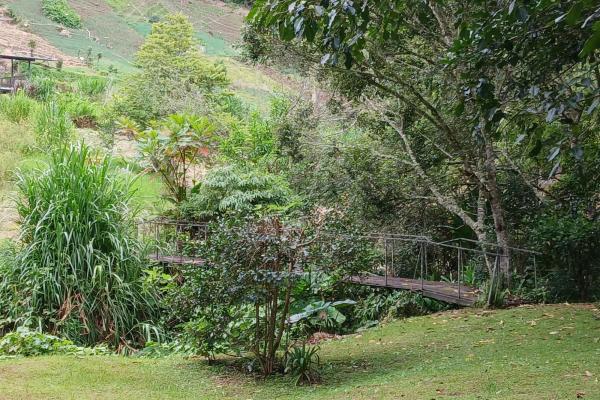Beautiful park property in high-altitude location