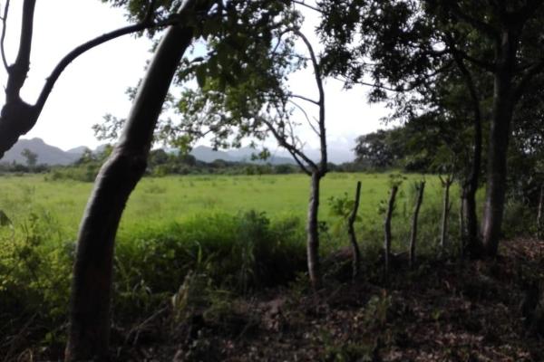 Se vende terreno de 5 hectareas en penonomé