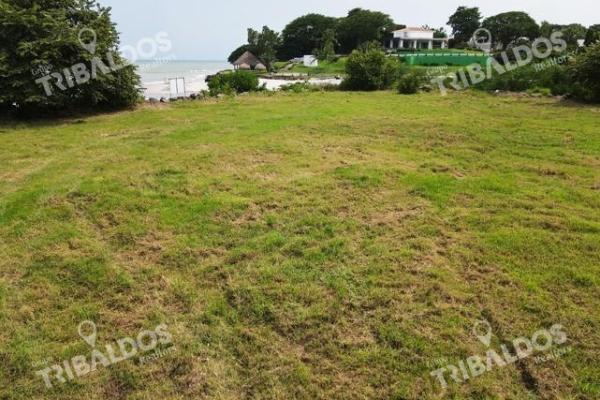 Land in punta roca, punta barco. san carlos