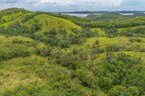 6-hectare hill property for sale in boca chica