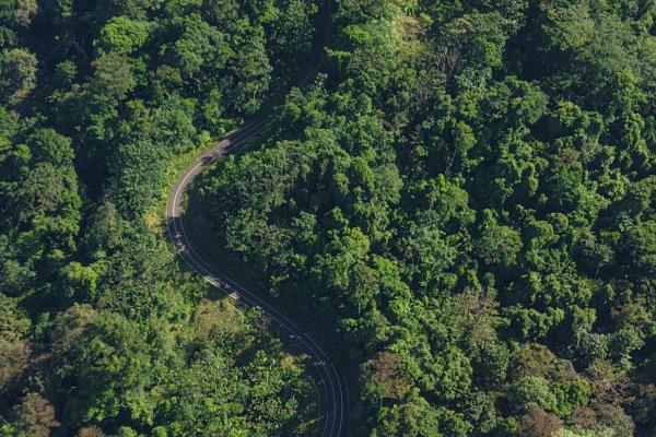 10 hectares of titled waterfront in tierra oscura