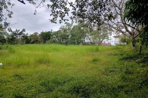 Amplio terreno plano de 9.229 m² en alto boquete