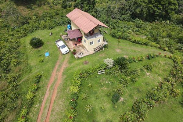 Coffee farm for sale in el cascajal, la pintada