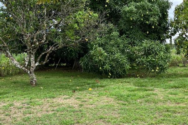 Farm with residence in ocú