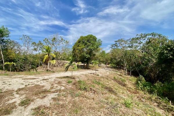 4.3 hectares finca – ideal community project