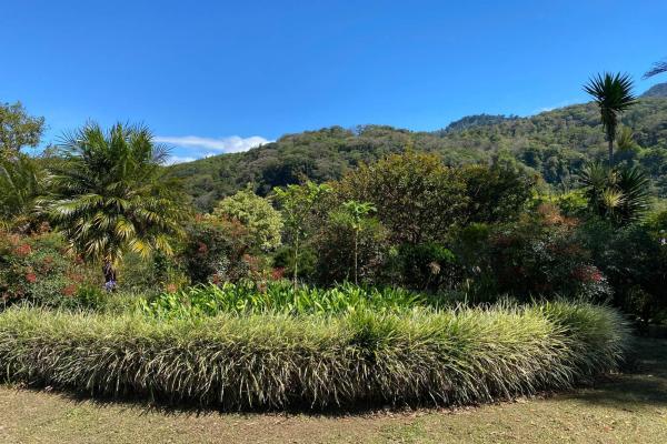 Luxury estate lot jaramillo with barú views