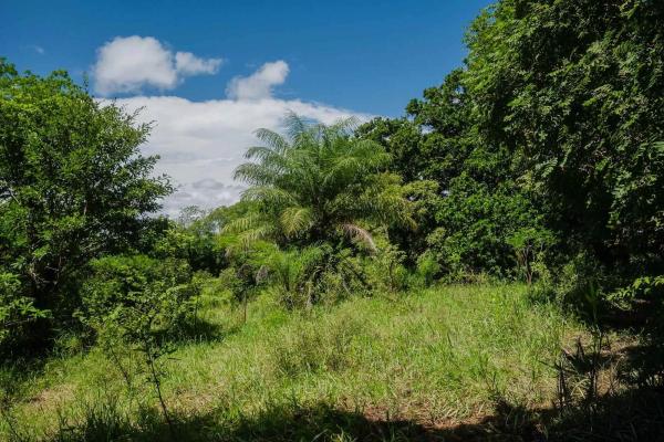 Expansive land for sale in las lomas, david