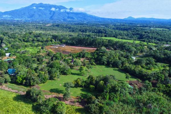 Lote de 1.86 hectáreas en potrerillos arriba dolega