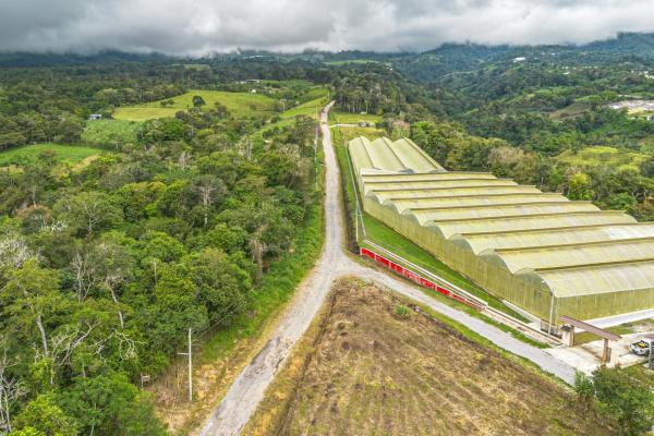 Land with natural forest and mountain views