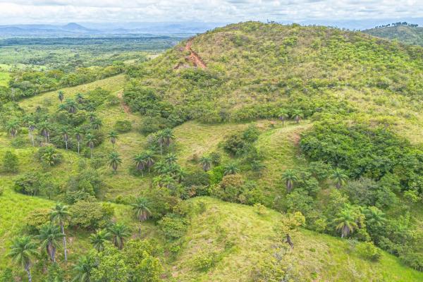 6-hectare hill property for sale in boca chica