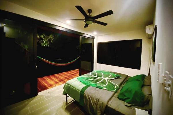 Beautiful modern jungle home for sale in morrillo